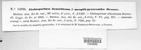 Venturia inaequalis image